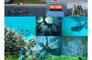 2011旅遊相簿